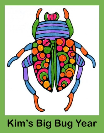 Kim's Big Bug Year logo 2020.jpg