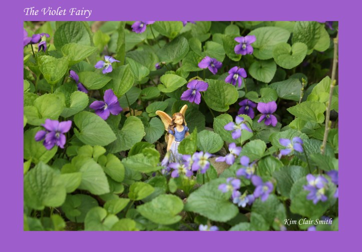 The Violet Fairy w sig