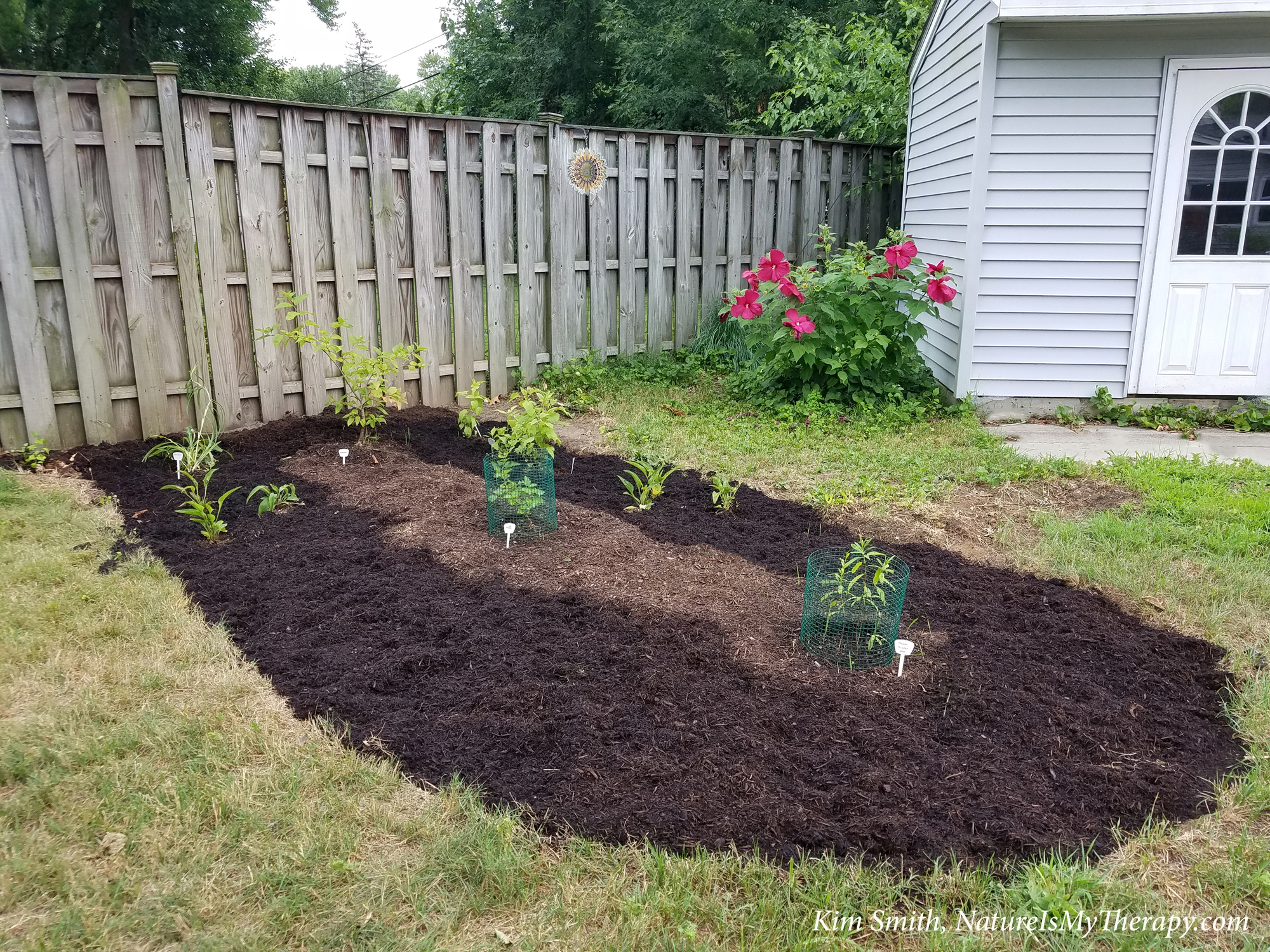 New garden bed July 29 2020 - blog - NIMT